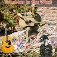 Troubles in the Wind